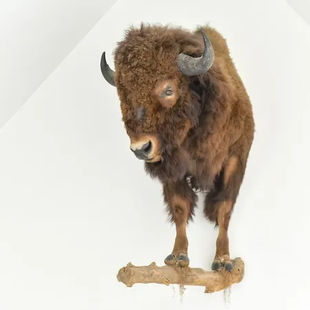 73 - Exceptional Arty Design Near Royal Zoute Golf Club * Knokke-Heist